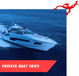 BOOK MY DIVE