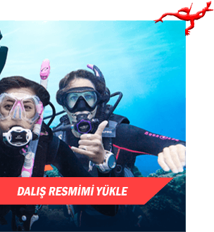 DALIŞ RESİMLERİMİ YÜKLE