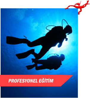 PROFESYONEL EĞİTİM