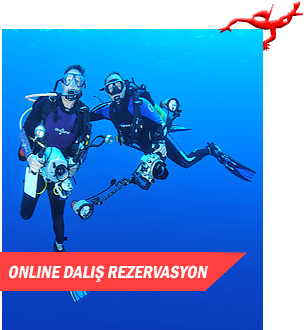 DALIŞ REZERVASYONU